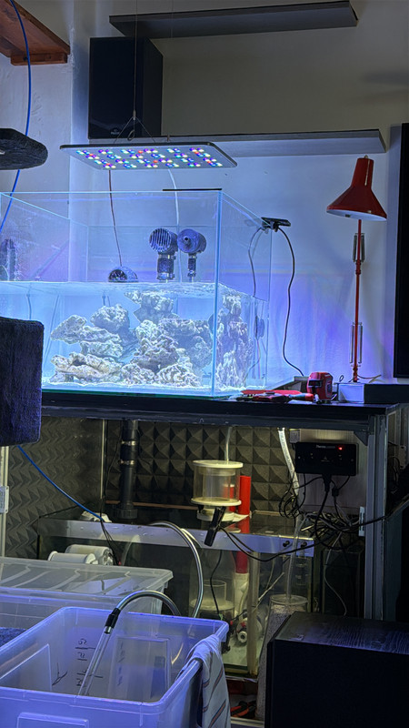 9E71B79A-D755-4F82-B489-9AC03EC06A7E