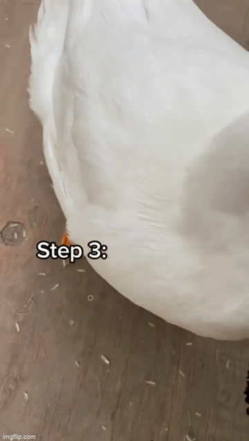 ���� ���� ������ �� ���� ������