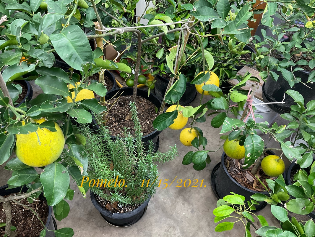 8DFD8E74-880B-4D67-82B5-29DB3982571B