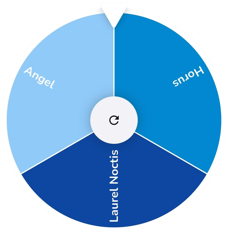 Screenshot 20260216 065205 Spin the Wheel