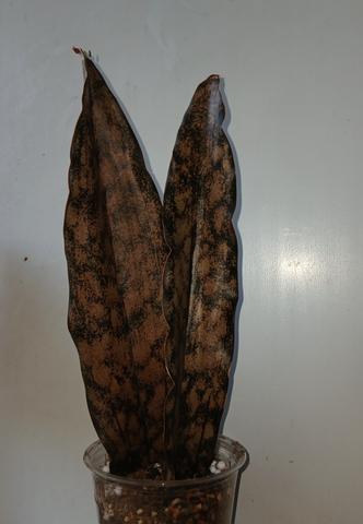 20260716-101513.jpg