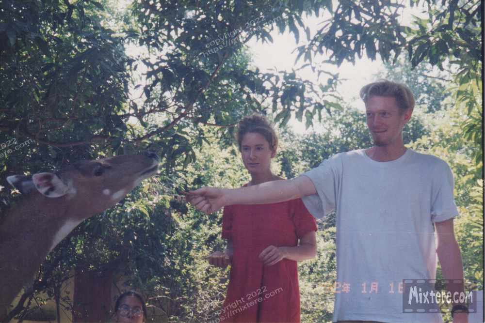 BBG&B2ItAllStartedWhenPics - 3