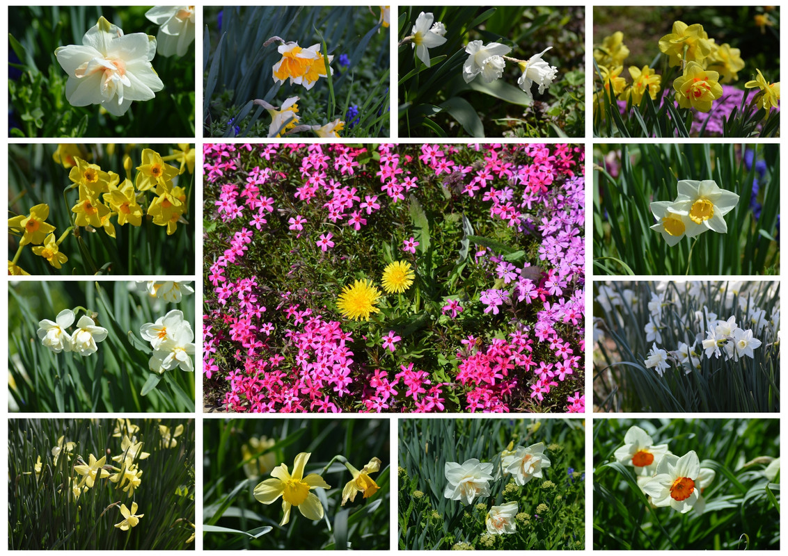 Новый коллаж.jpg 3