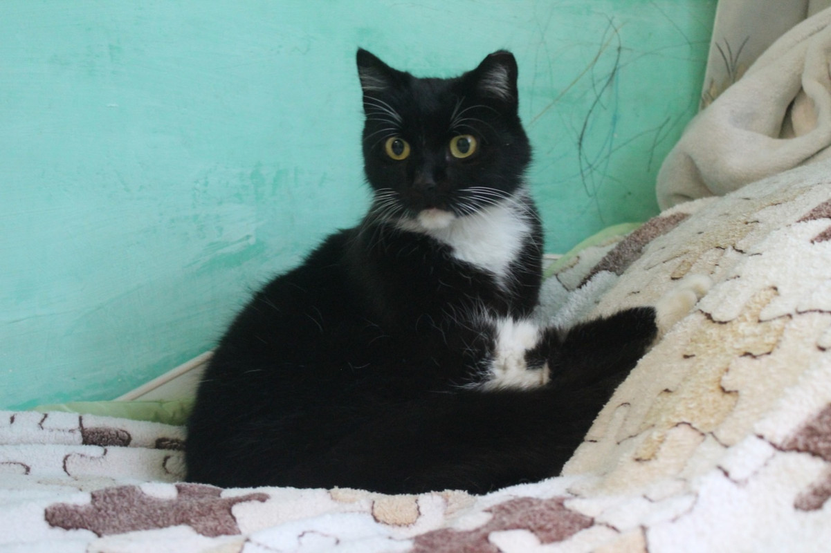 1231410A-0F69-4748-8EEC-BFCF1F9EA8AF