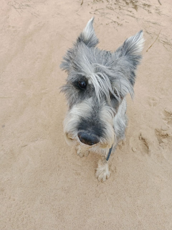 photo_2025-04-11_13-56-07 (2)