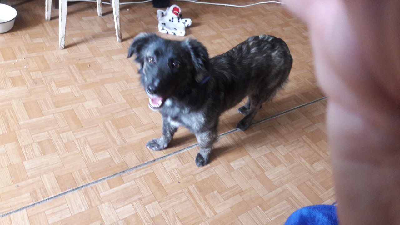 IMG-4a230ddf91c4395a87bf7009387477b6-V (1)