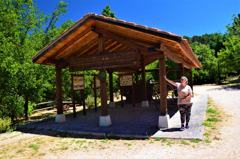 Madrid y sus pueblos-2000/2022 - Blogs of Spain - OLMEDA DE LAS FUENTES-5-6-2020 (77)