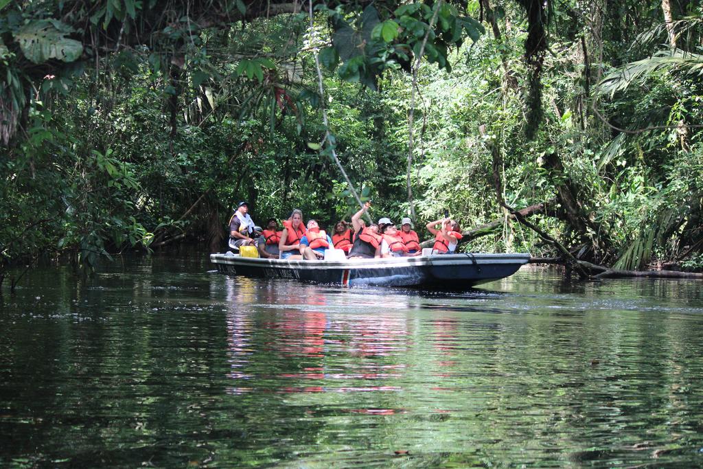 DIA 3: CANALES, COLINAS Y TORTUGAS - DE TORTUGAS Y PEREZOSOS. COSTA RICA 2019 (23)