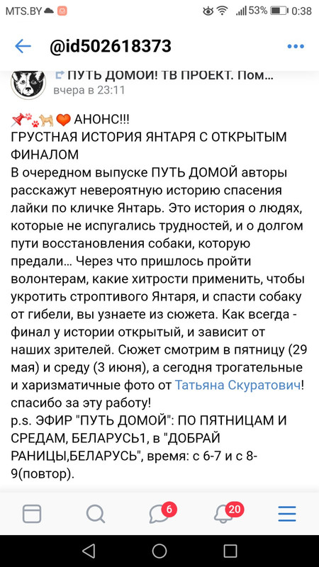 изображение_viber_2020-05-28_00-43-01