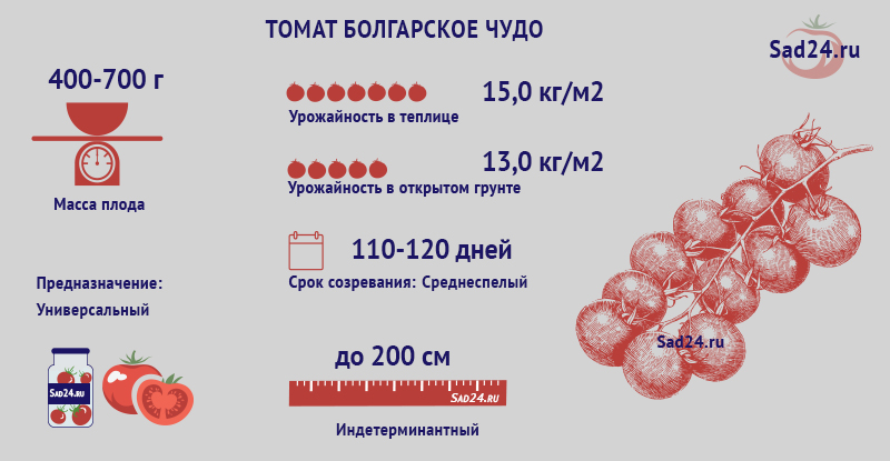https://i.postimg.cc/8CB8zT1m/tomat-bolgarskoe-chudo-opisanie-2.jpg