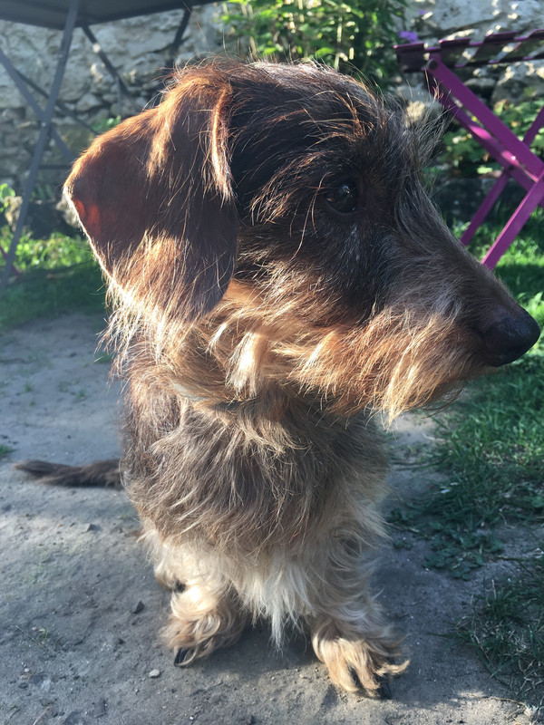 [Image: 0-C191588-E2-B3-4-D9-F-AEFE-846-C2-D5-E279-B.jpg]