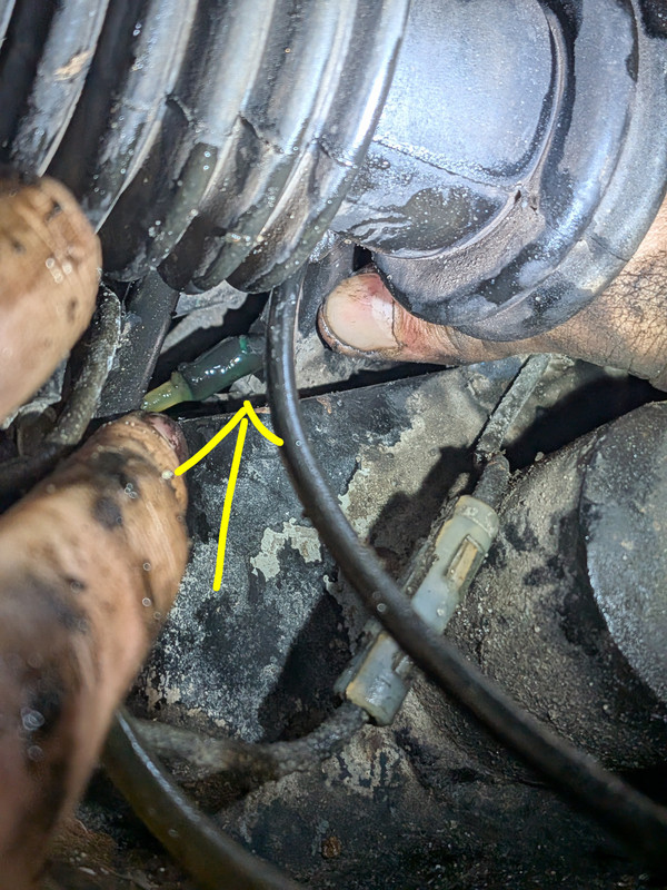 PXL-20260410-142910613-2.jpg