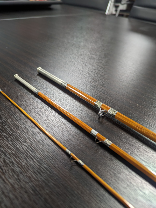 PXL_20240119_224701463