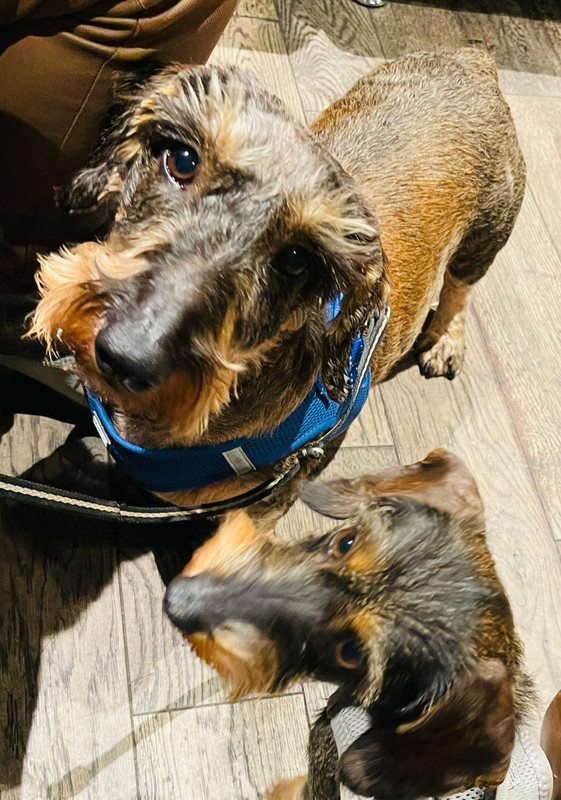 [Image: a822e815-f834-4dc8-a918-dd14ddccea62.jpg]