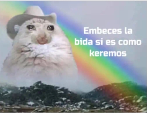 Screenshot 20251029 195521