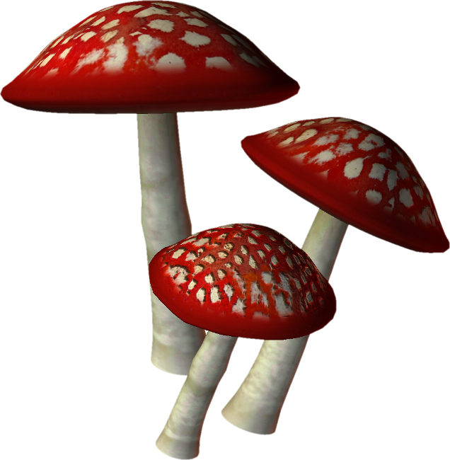 Alice In Wonderland (158)