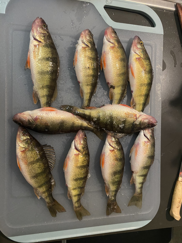 763086A5-BB9F-4C35-A611-BC55E308CE8F