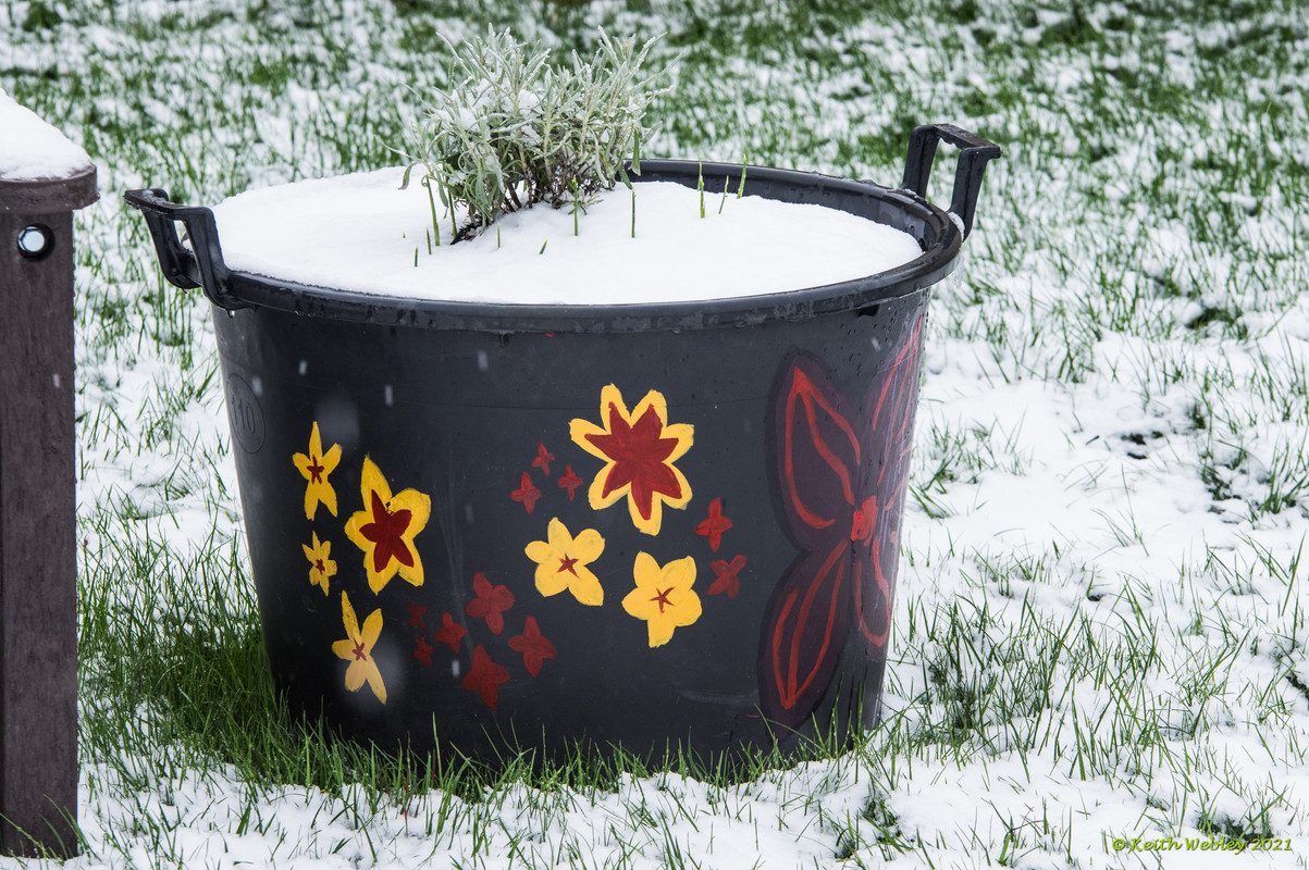 Painted pot 2
