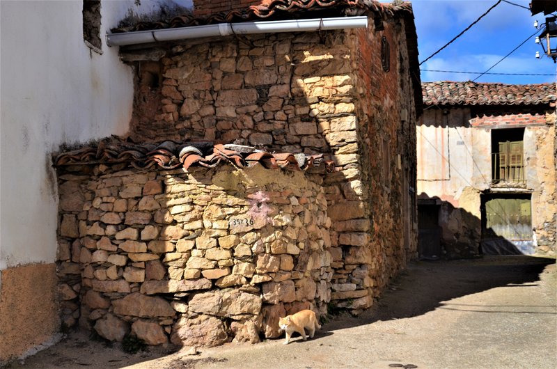 LAS CÁRCAVAS-22-2-2015-GUADALAJARA - Paseando por España-1991/2016 (27)