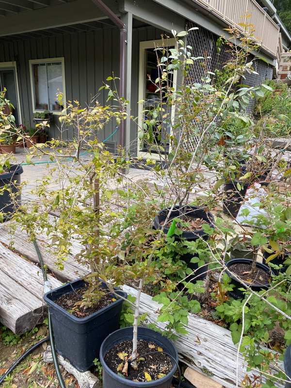 316F5E9C-CF40-45F5-B15D-B31E0A66A744