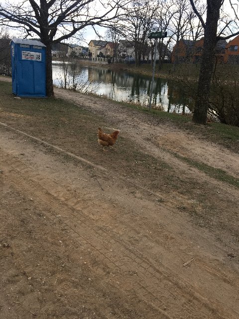 9-FCA5-CE0-A6-F8-4825-9-B0-A-6-F8-D8174-