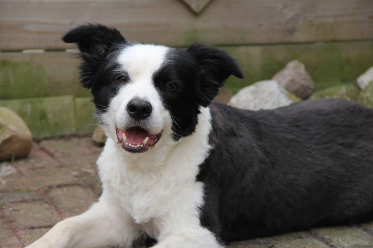 6FCAFA20-C649-42D6-861E-970E772F1670