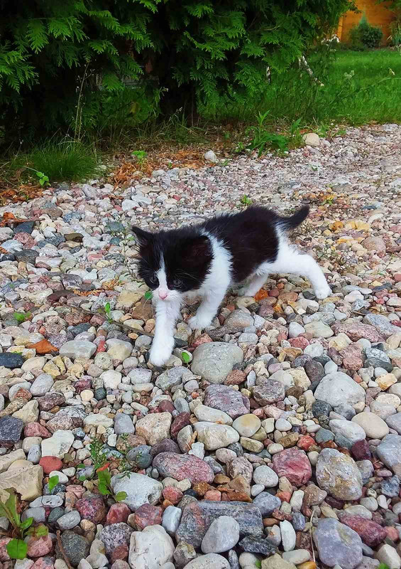 47864004-1EFB-498A-BFAE-8F5BE5156ED3