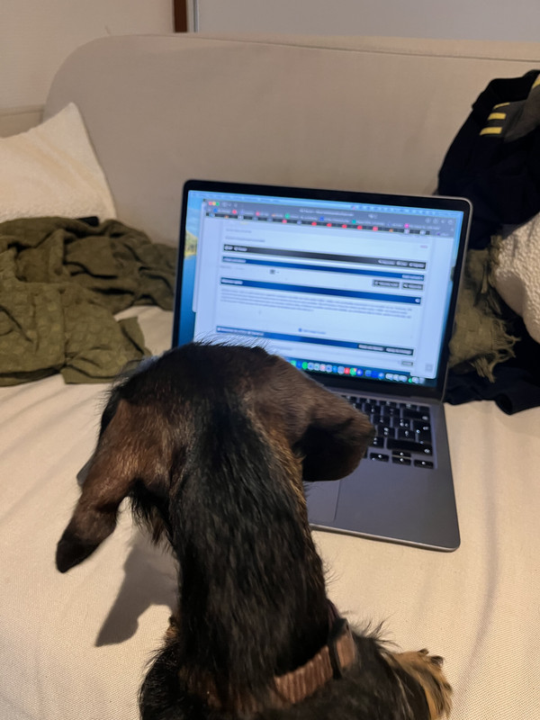 [Image: IMG-2723.jpg]