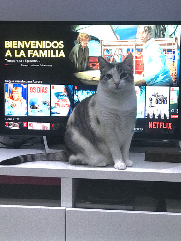 6866375C-51EE-4D85-A095-A6FC26114D4D