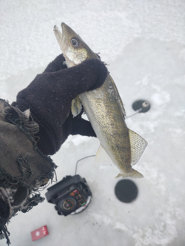 IMG_20221227_121411532