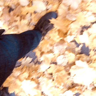 3-B310669-023-D-4-EEB-9129-25-F4900-F138-A.gif