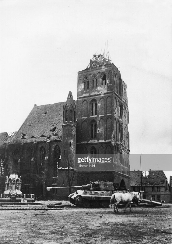Südpommern Neumark Panzer Tiger II in Arnswalde 