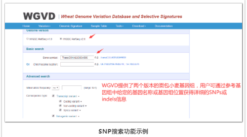 小麦基因组变异与选择信号数据库-3.png