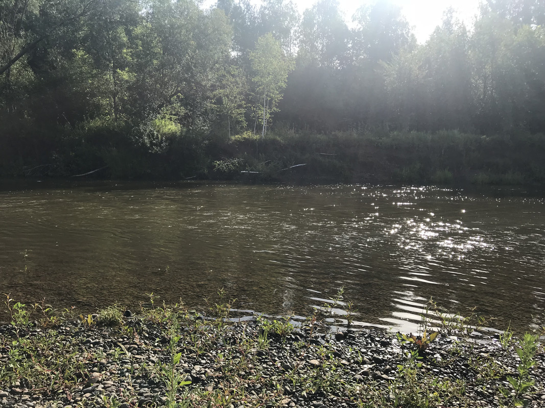 7859E9D9-6DA5-4941-BB84-13FD9597AE0D