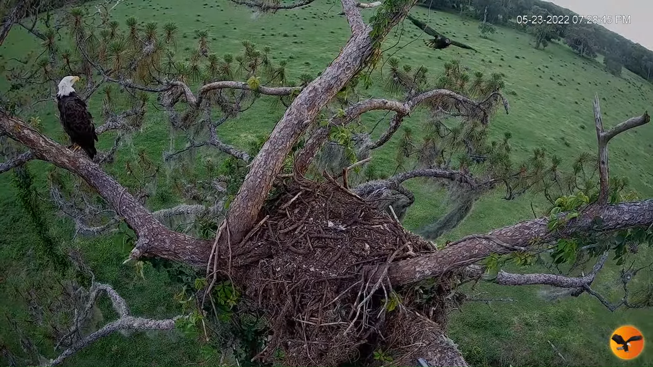 EC 4K Overhead Cam 5-3-35 screenshot