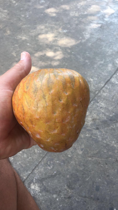 06489D2F-DC55-42CC-A4E0-79BCC01365AD