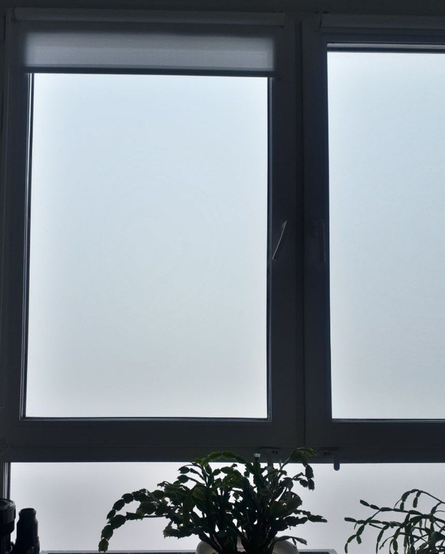 изображение_2024-04-10_123633001