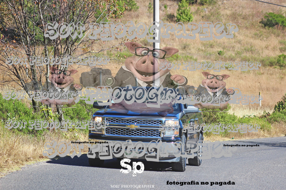 IMG_2380