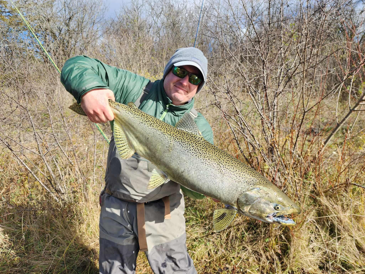 e3a7ea4447af7b7c7b2aa24f567fa60f