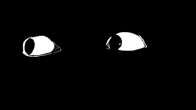 IMG-2508.gif