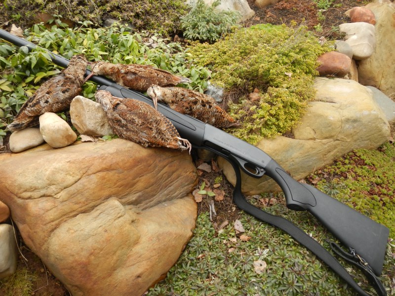 DSCN2164 (800 x 600)