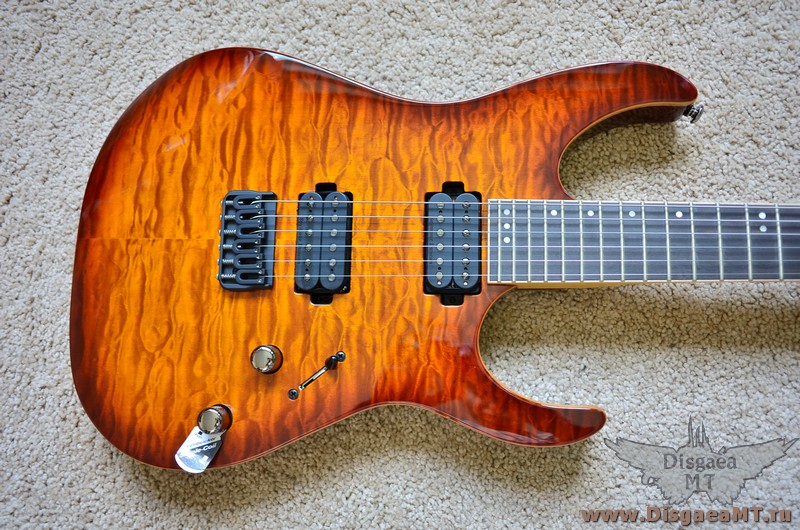 Schecter_Banshee-6_Passive_1-FVSB_002