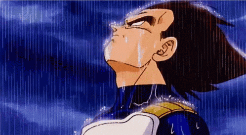 vegeta in the rain vegeta