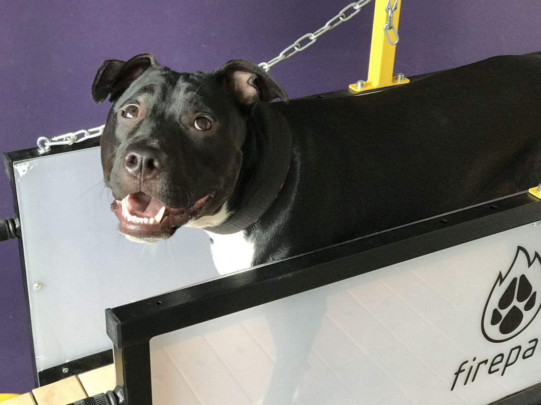 D6D6A3EB-FACC-446C-9E4E-DE790D90822C