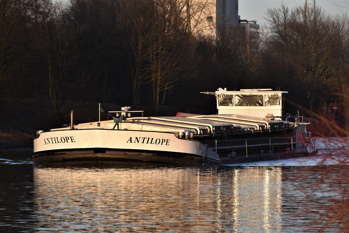 2022.02.26e RHK ANTILOPE 02 (1940x1293)