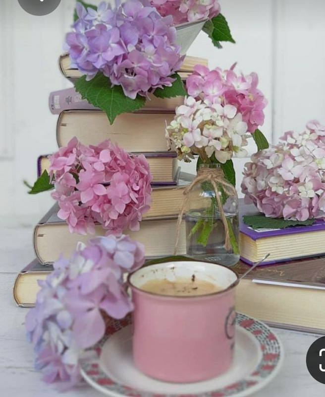 Screenshot_20230315_232536_Pinterest