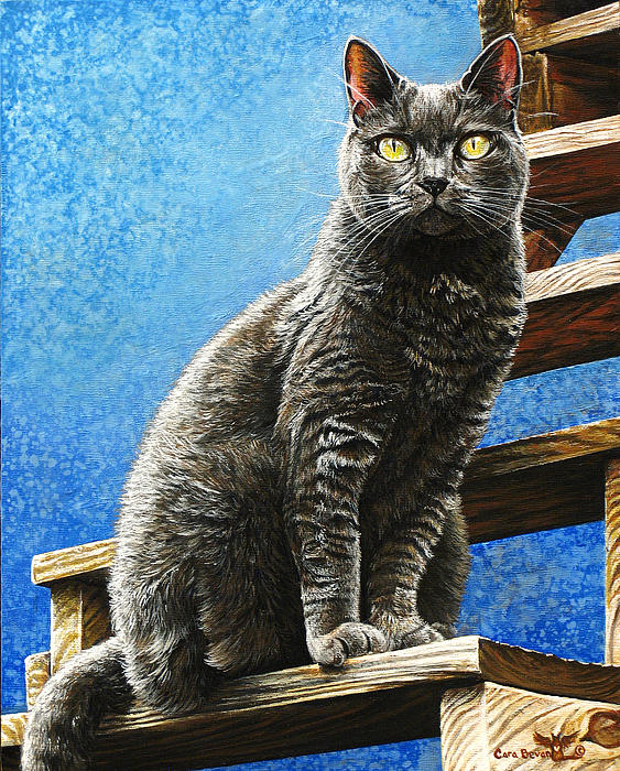 01-cleo-cara-bevan-003