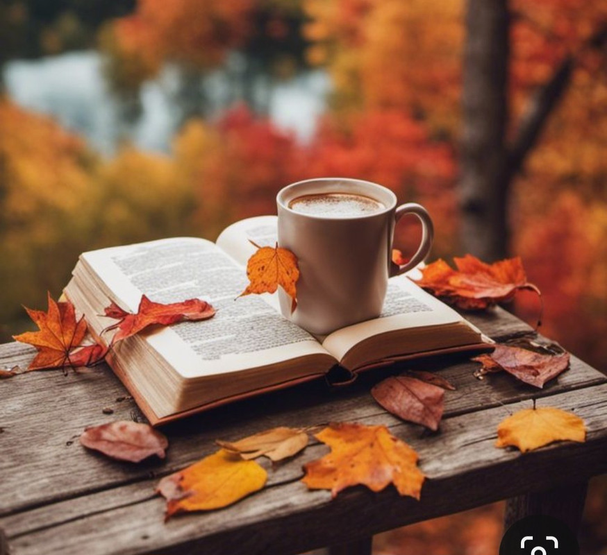 Screenshot_20231031_214436_Pinterest