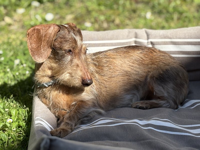 [Image: IMG-0166.jpg]