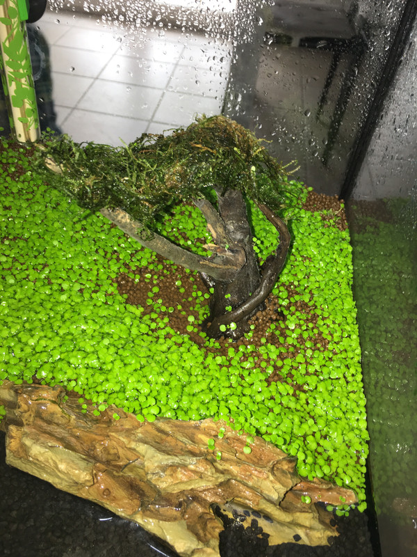 6141D5EA-1E72-4470-ABC0-6A60A3AD66A0